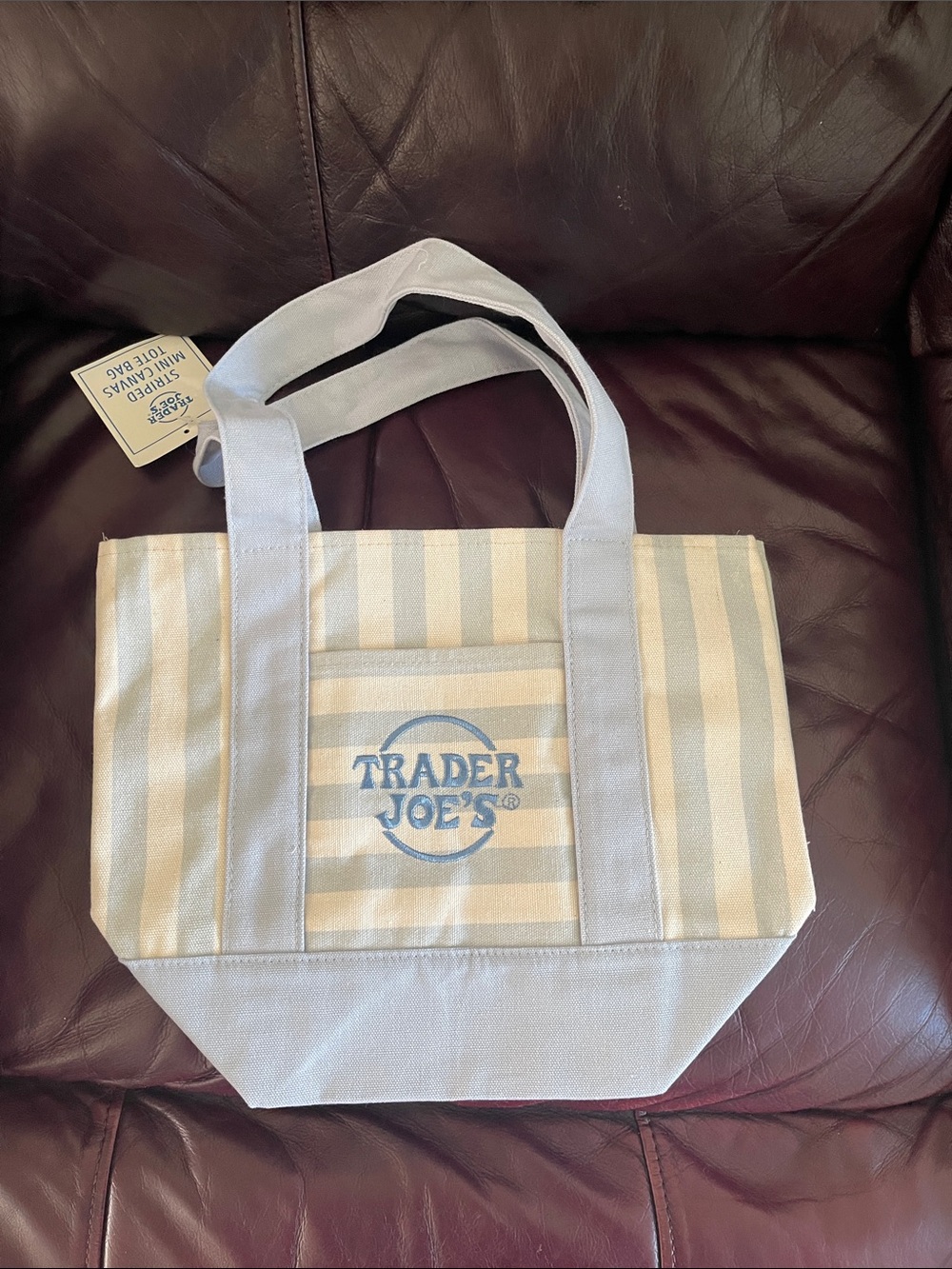 Trader Joe's Striped Canvas Tote Bag in Light Blue and Cream